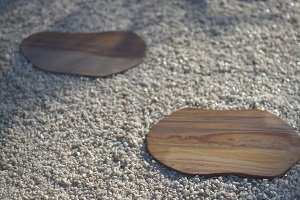 Stepping Stones category image