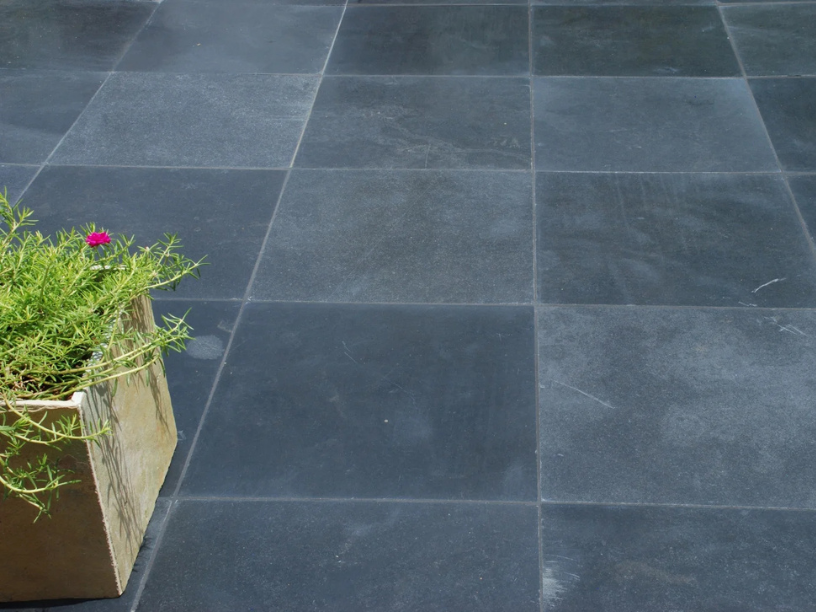 LIME BLACK product image